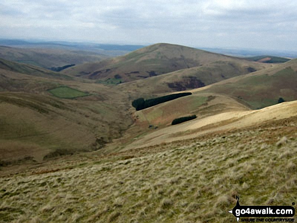 Walk bo114 Lightning Hill, Wether Law (Teviothead), Tudhope Hill and Dod Hill from Linhope Farm - Linhope Farm, Linhope Burn and Lightning Hill from Little Tudhope Hill