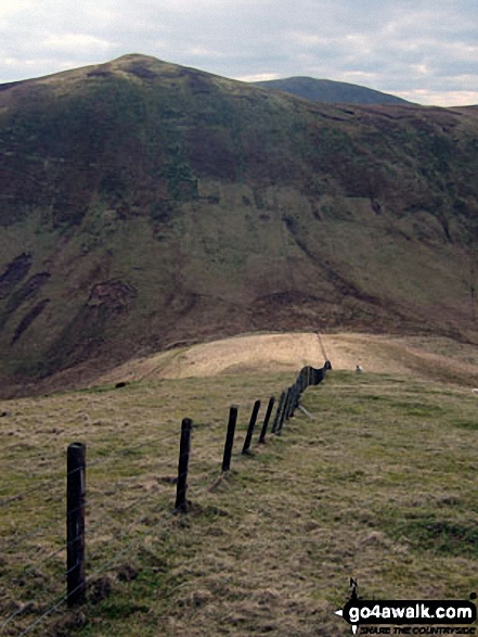 Walk bo107 Lightning Hill, Wether Law (Teviothead) and Tudhope Hill from Linhope Farm - Carlin Tooth (Teviothead), Ellson Fell (behind) and Sunhope Hass (below)<br> from Little Tudhope Hill