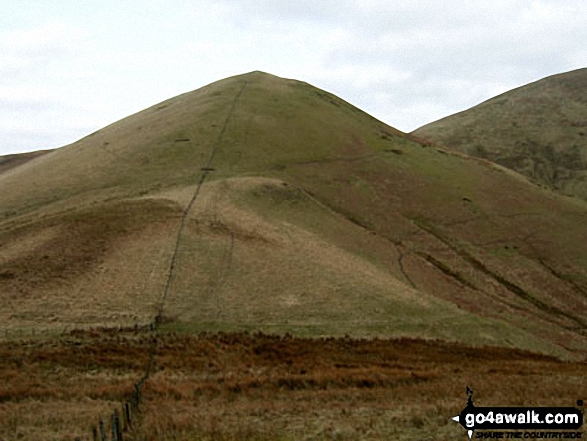 Walk bo128 Dod Hill (Teviothead) from Linhope Farm - Little Tudhope Hill and the shoulder of Tudhope Hill from Sunhope Hass