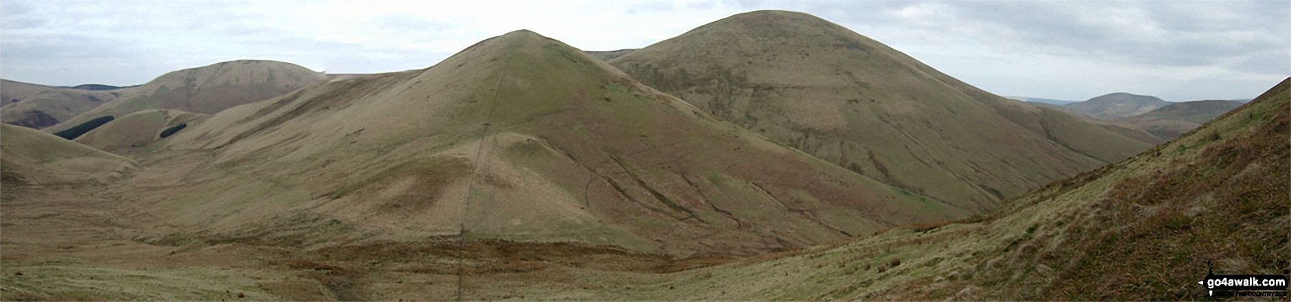 Wether Law (Teviothead), Crummiecleuch Rig, Millstone Edge (Tudhope Hill), Little Tudhope Hill and Tudhope Hill above Sunhope Hass from Carlin Tooth (Teviothead)