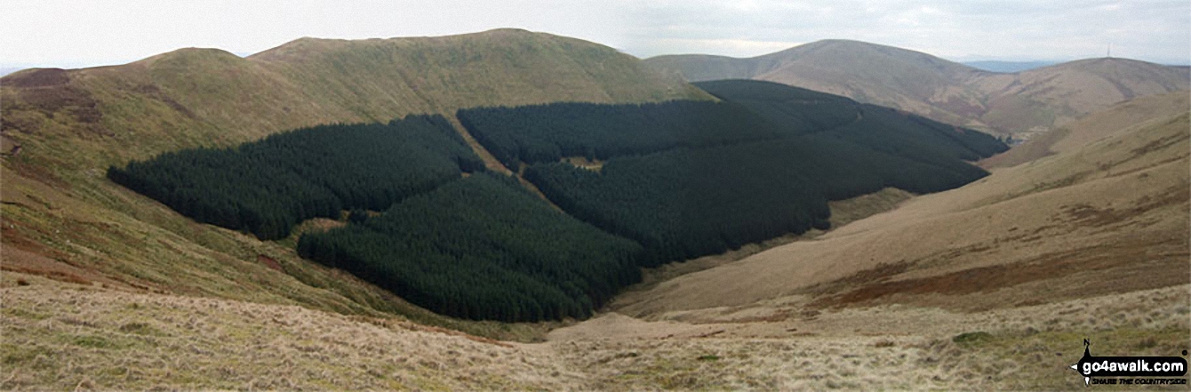 Walk bo114 Lightning Hill, Wether Law (Teviothead), Tudhope Hill and Dod Hill from Linhope Farm - Ellson Fell and Castlewink from Bye Hill summit with Wisp Hill in the distance