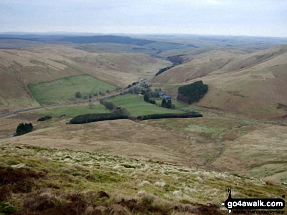 Walk bo128 Dod Hill (Teviothead) from Linhope Farm - Linhope Farm from Dod Hill (Teviothead)