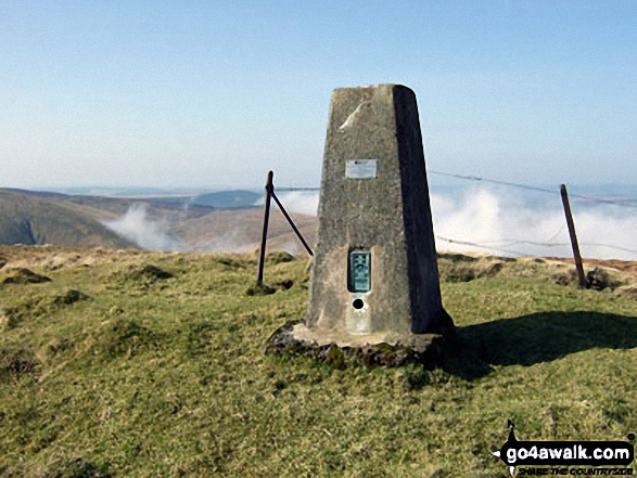 Walk bo109 Wisp Hill (Teviothead), Pikehaw Hill and Ellson Fell from the Mosspaul Hotel - Wisp Hill (Teviothead) summit trig point