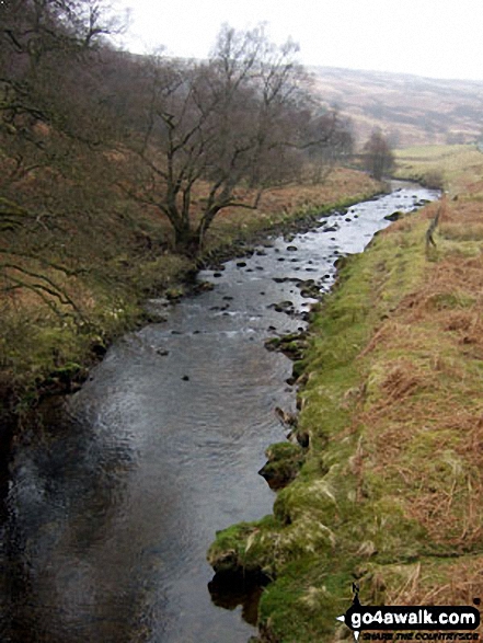 Tarras Water from near Tarras Lodge 