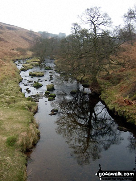 Tarras Water from near Arkleton Cottage 