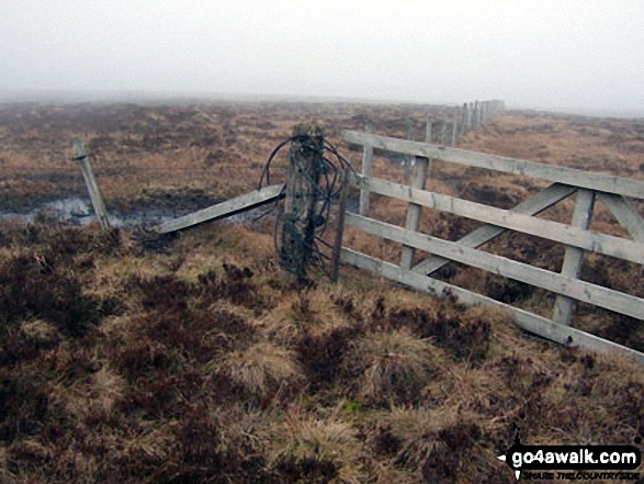 Walk Arkleton Hill walking UK Mountains in The Scottish Borders  Dumfries and Galloway, Scotland