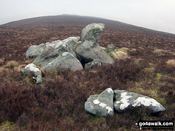 Rocks on the ridge between Arkleton Hill and Linns Knowe 