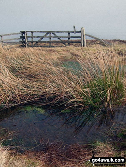 Gate and pool near the summit of Pike Fell