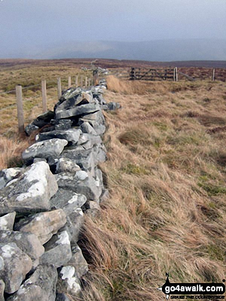 Pike Fell summit with Roan Fell in the distance 