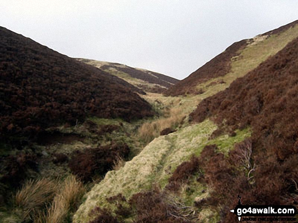 Walk dg152 Scawd Bank and Roan Fell from Tarras Lodge - The bealach at Ludsgill Sware between Pike Fell and Scawd Bank