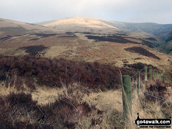 Walk dg152 Scawd Bank and Roan Fell from Tarras Lodge - Watch Hill from Byrecleuch Burn