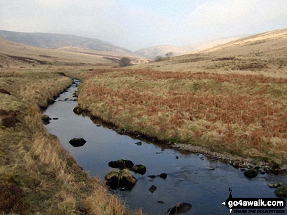 Walk dg152 Scawd Bank and Roan Fell from Tarras Lodge - Byrecleuch Burn near Lodgegill Farm