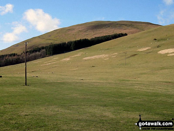 Walk n158 Ring Chesters, Eccles Cairn and The Border from Hethpool - Great Hetha from Hethpool