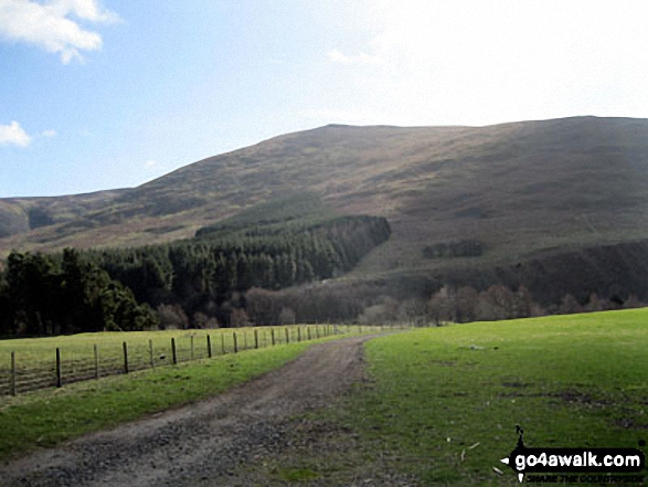 Walk n167 The Cheviot from Hethpool - Newton Tors from Hethpool