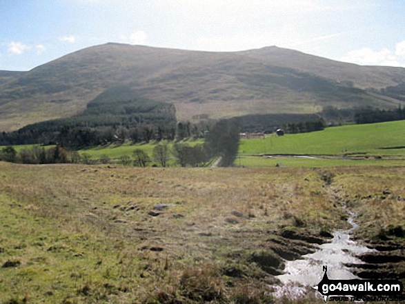 Walk n141 Ring Chesters from Hethpool - Newton Tors and Hare Law towering above Hethpool from White Hill (Hethpool)