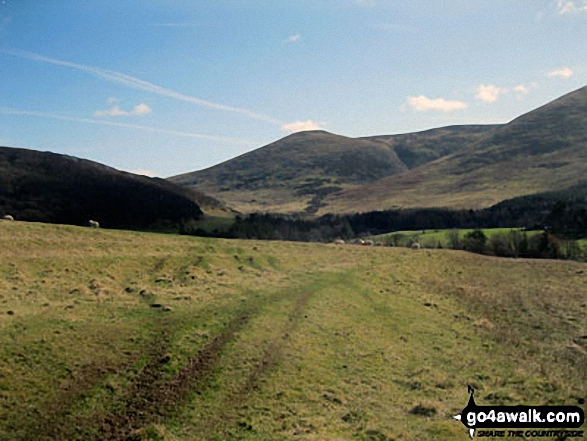 Walk n158 Ring Chesters, Eccles Cairn and The Border from Hethpool - Easter Tor from White Hill (Hethpool)