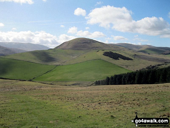 Walk n158 Ring Chesters, Eccles Cairn and The Border from Hethpool - Great Hetha from White Hill (Hethpool)