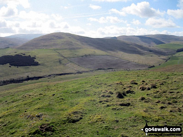 Walk n158 Ring Chesters, Eccles Cairn and The Border from Hethpool - Great Hetha from East Laddie's Knowe