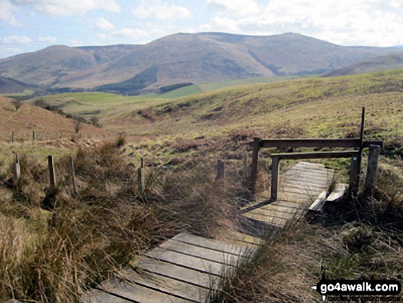 Walk n141 Ring Chesters from Hethpool - Easter Tor, Newton Tors and Hare Law from the footbridge over Black Bog (Haddon Hill)