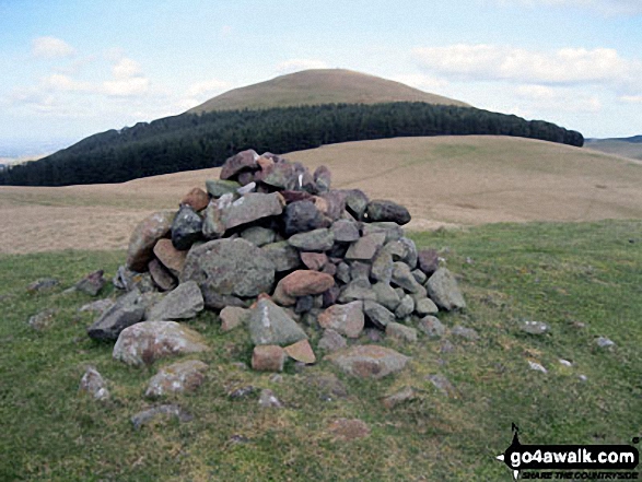 Walk n196 Ring Chesters, Eccles Cairn and Trowupburn from Hethpool - Eccles Cairn with Coldsmouth Hill in the background