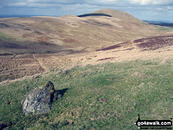 Walk n110 The St Cuthbert's Way and Eccles Cairn from Hethpool - Eccles Cairn and Coldsmouth Hill from Maddie's Well