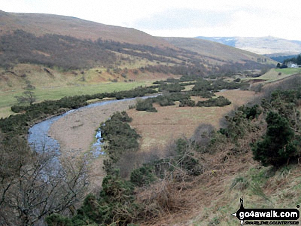 Walk n167 The Cheviot from Hethpool - College Burn in College Valley