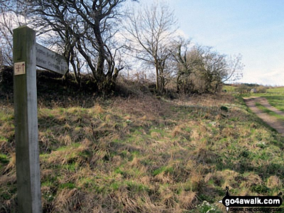 Walk n107 Wooler Common and Happy Valley (High Level Route) from Wooler - The St Cuthbert's Way heading up on to Wooler Common near Waud House, Wooler