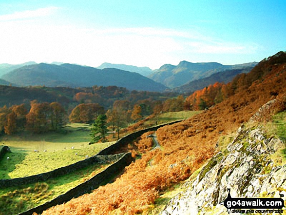 Walk c232 Loughrigg Fell from Ambleside - The Langdale Pikes from the lower slopes of Loughrigg Fell