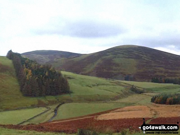 Lamington Hill and Knowe Dod from Culter Fell 