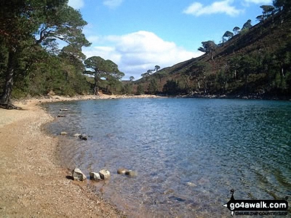 Walk h184 Meall a' Bhuachaille and Craiggowrie from Glenmore Forest Park - An Lochan Uaine