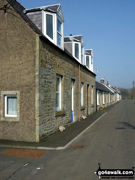 Walk bo116 Roan Fell from Newcastleton - Row of riverside houses beside Liddle Water in Newcastleton