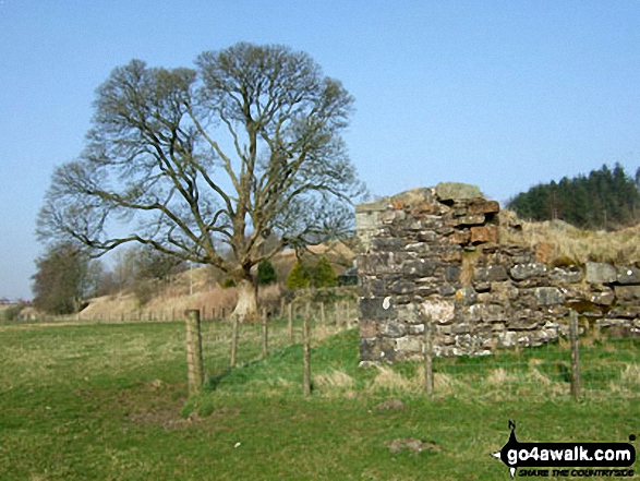 Walk bo106 Carby Hill (Caerba Hill) from Newcastleton - The ruins of Mangerton Tower