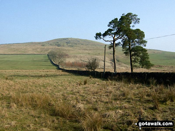 Walk bo106 Carby Hill (Caerba Hill) from Newcastleton - Carby Hill (Caerba) from Sorbietrees