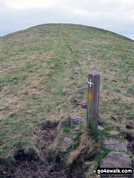 Walk bo124 Hownam Law from Morebattle - The St Cuthbert's Way on Grubbit Law