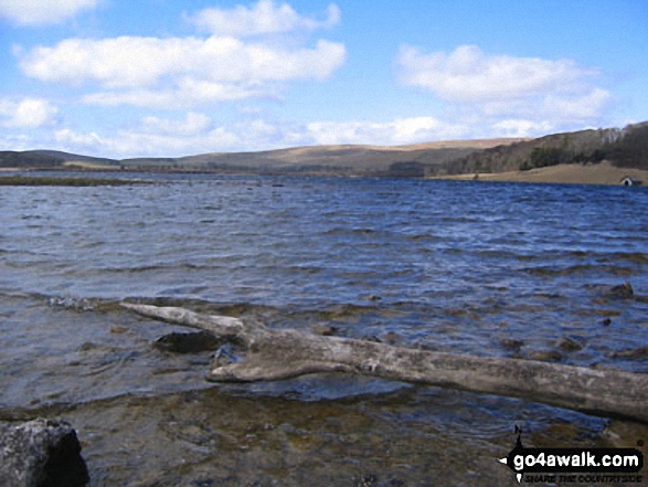 Walk ny159 Gordale Scar and Malham Cove from Malham - Malham Tarn in Spring - 16th April, 2006