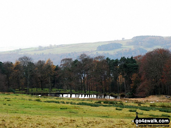 Walk d101 Padley Gorge, Burbage Rocks and Longshaw Country Park from Grindleford Station - Granby Wood and The Lake in Longshaw Country Park