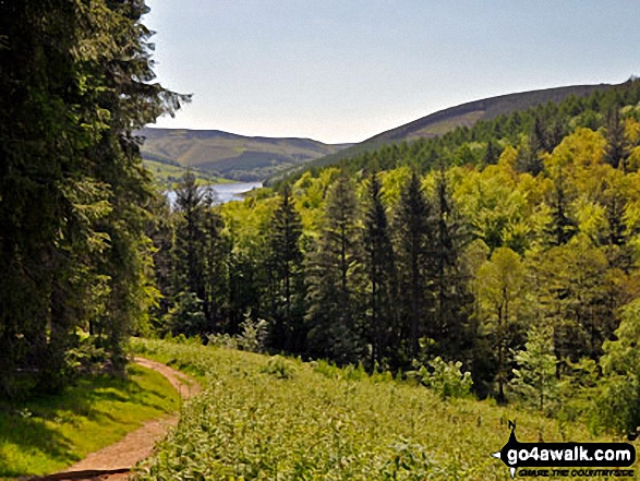 Ladybower Reservoir from Lockerbrook Heights 