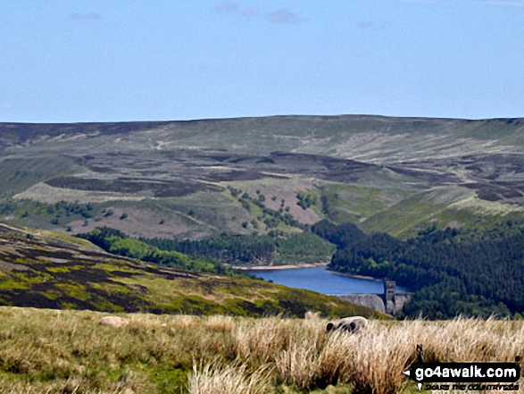 Margery Hill and Howden Moor beyond Howden Reservoir from Lockerbrook Heights