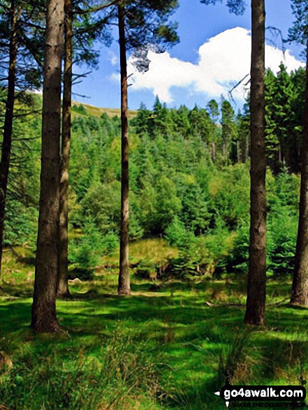 Walk d114 Alport Castles and Bleaklow Stones from Fairholmes Car Park, Ladybower Reservoir - Fagney Clough