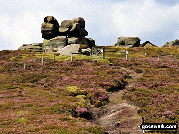 Walk d164 Barrow Stones, Grinah Stones, Bleaklow Stones and Bleaklow Head (Bleaklow Hill) from Woodhead - Approaching Barrow Stones from Ridgewalk Moor