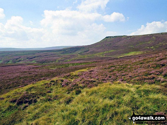 Heather and Grinah Stones in the distance from Barrow Stones 