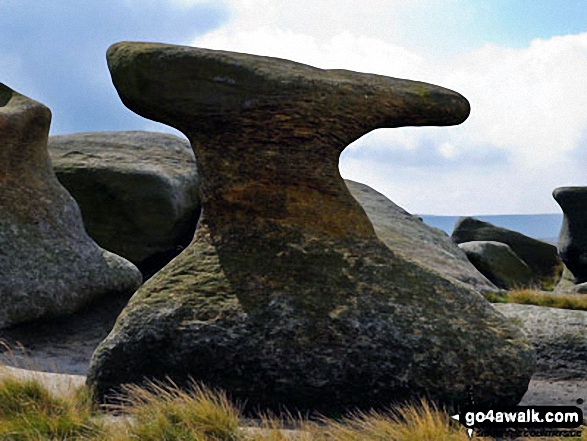 Anvil Stone at Bleaklow Stones (Bleaklow Hill)