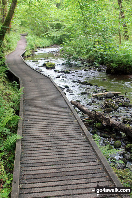 Walk h158 The Fairy Glen Waterfalls from Rosemarkie, The Black Isle - The start of the Fairy Glen Waterfalls walk