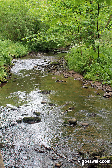 Walk h158 The Fairy Glen Waterfalls from Rosemarkie, The Black Isle - Rosemarkie Burn, The Fairy Glen Waterfalls walk