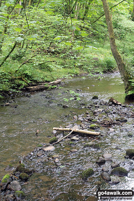 Walk h158 The Fairy Glen Waterfalls from Rosemarkie, The Black Isle - Rosemarkie Burn, The Fairy Glen Waterfalls walk