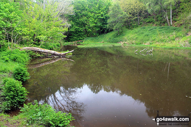 Rosemarkie Burn, The Fairy Glen Waterfalls walk 