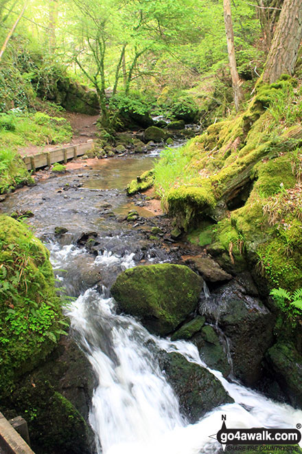 Walk h158 The Fairy Glen Waterfalls from Rosemarkie, The Black Isle - The Fairy Glen Waterfall