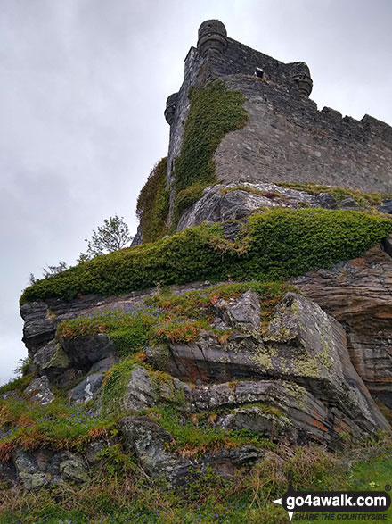 The remains of Castle Tioram, Loch Moidart 