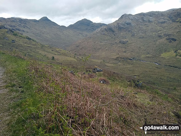 Sgurr Dhomhnuill (centre) from Ariundle Oakwood National Nature Reserve