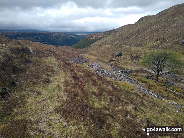 What remains of Bellsgrove Lead Mines 